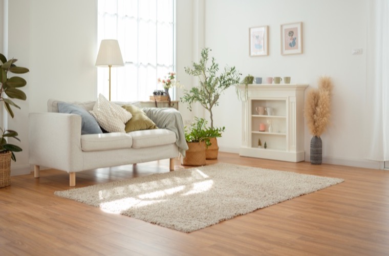 A bright, welcoming living room bathed in natural light