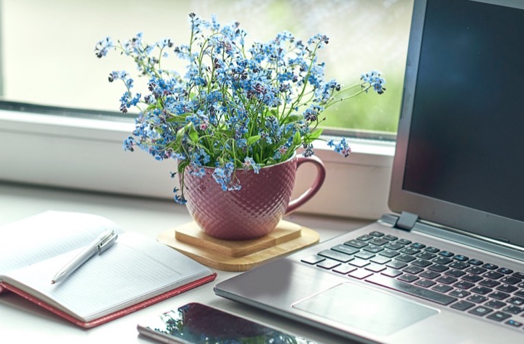A calm workspace by a window with a notebook, laptop and flowers